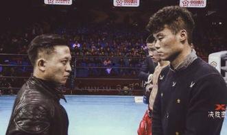 白鲨最新爆料新闻网视频,揭秘新闻网背后惊人内幕  第2张